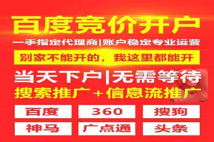 不同平台的SEM广告投放比较及成功案例分析